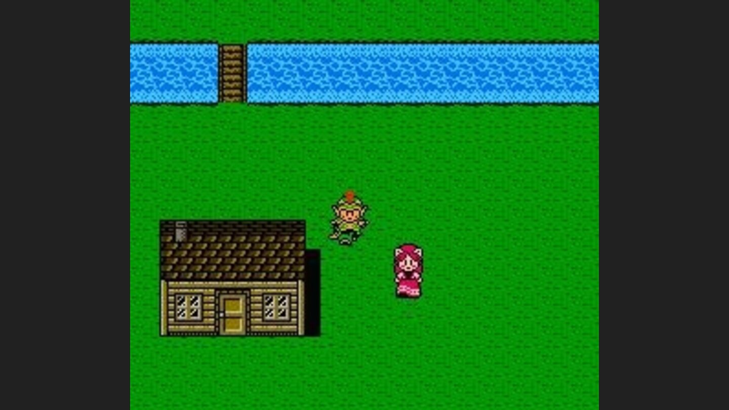 Town with cat-like girls