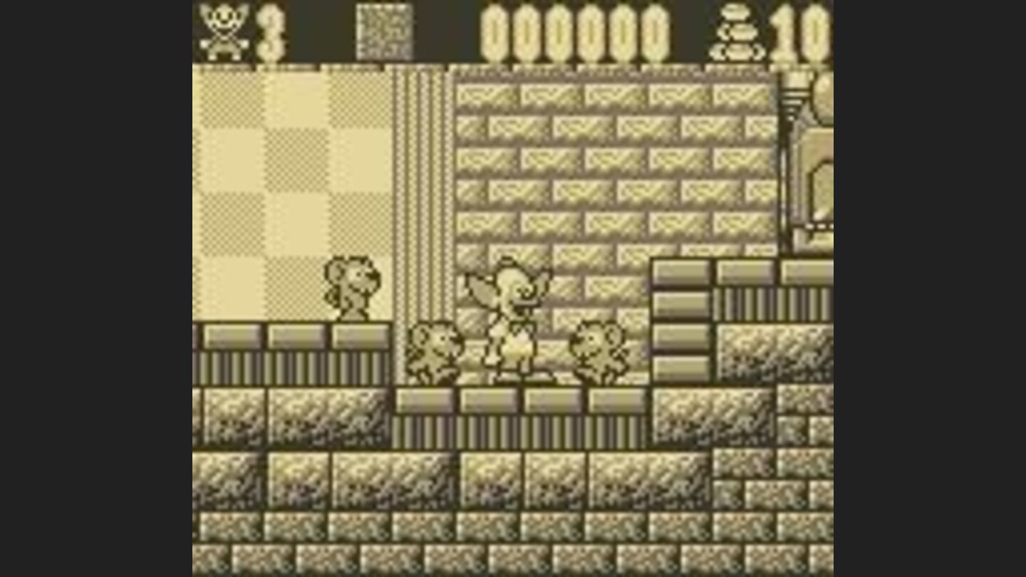 The rats cant climb up this step.