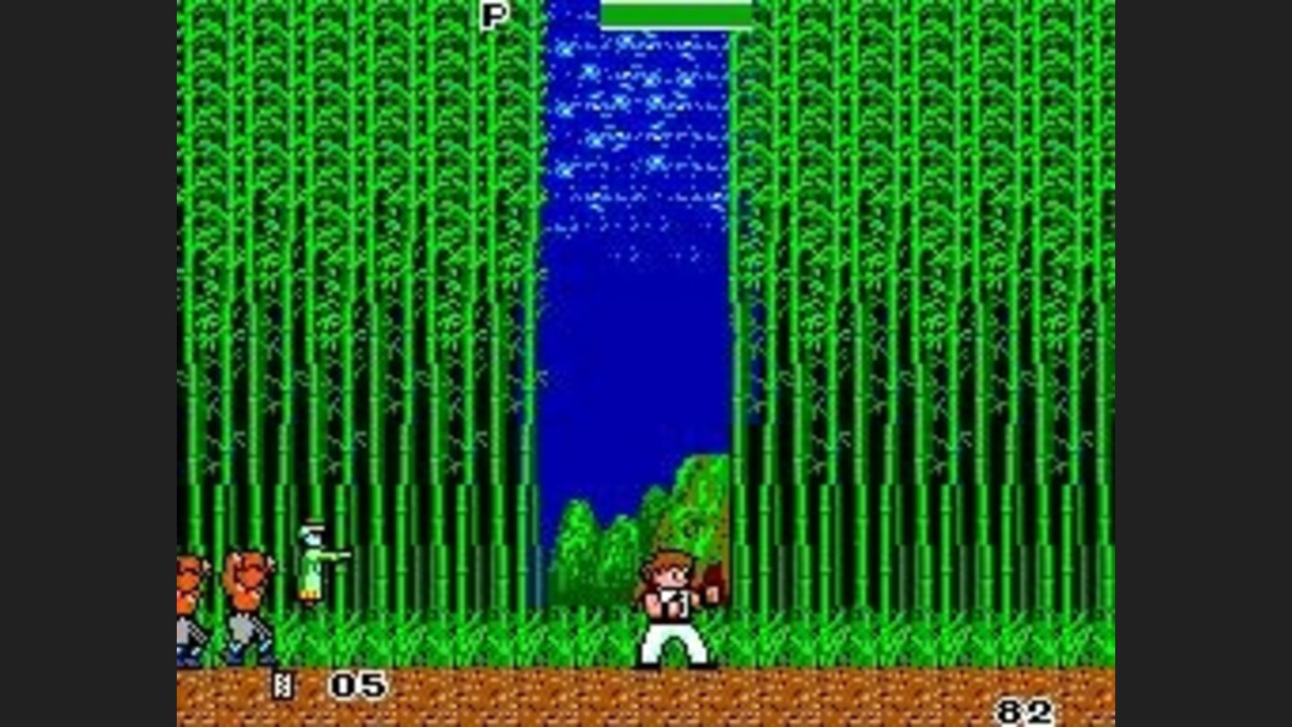 In the bamboo forest