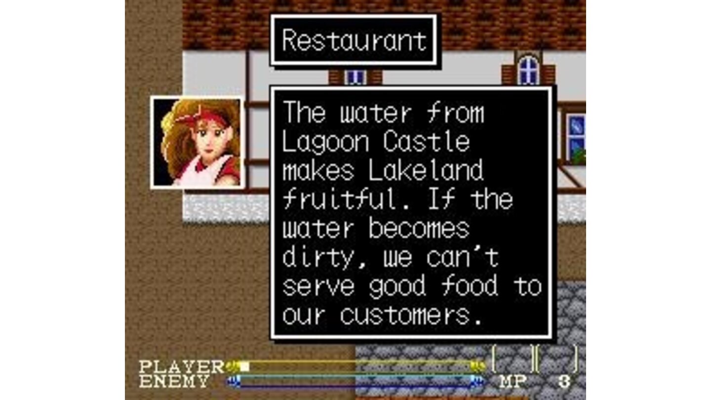 Talking to restaurant owner