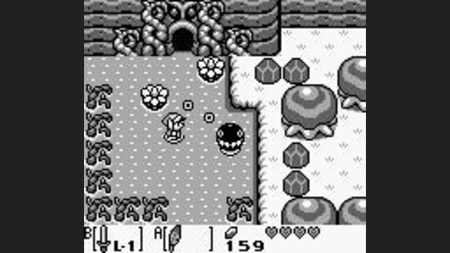 After rescuing Bow Wow, he clears the way to the second dungeon