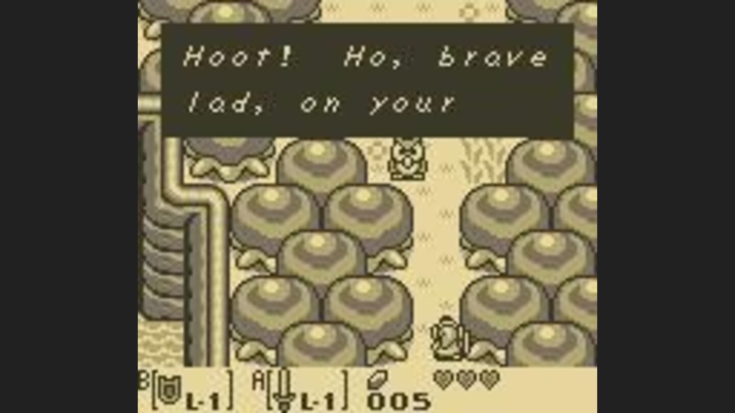 The owl gives you advice