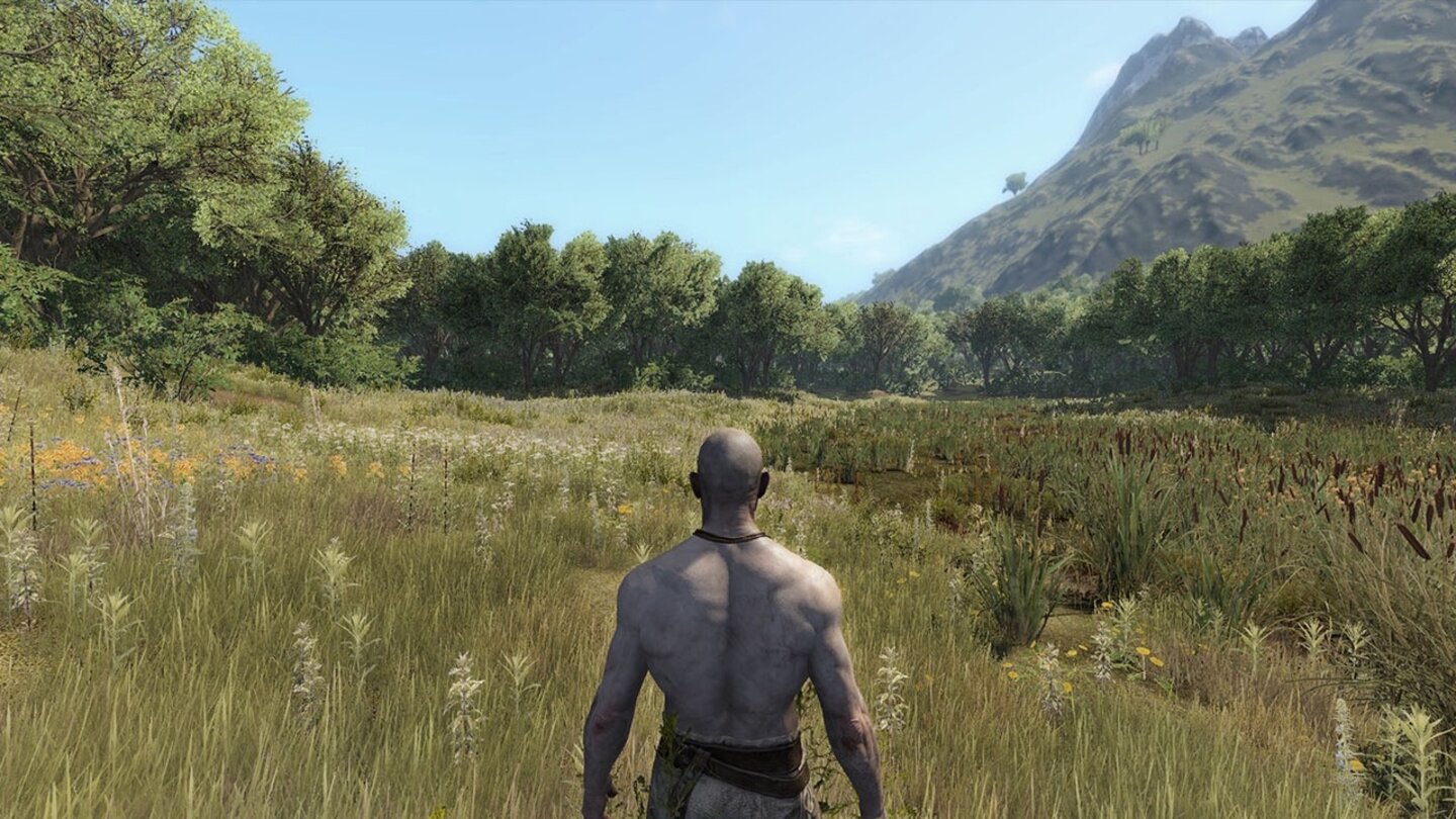 Life is Feudal: MMO