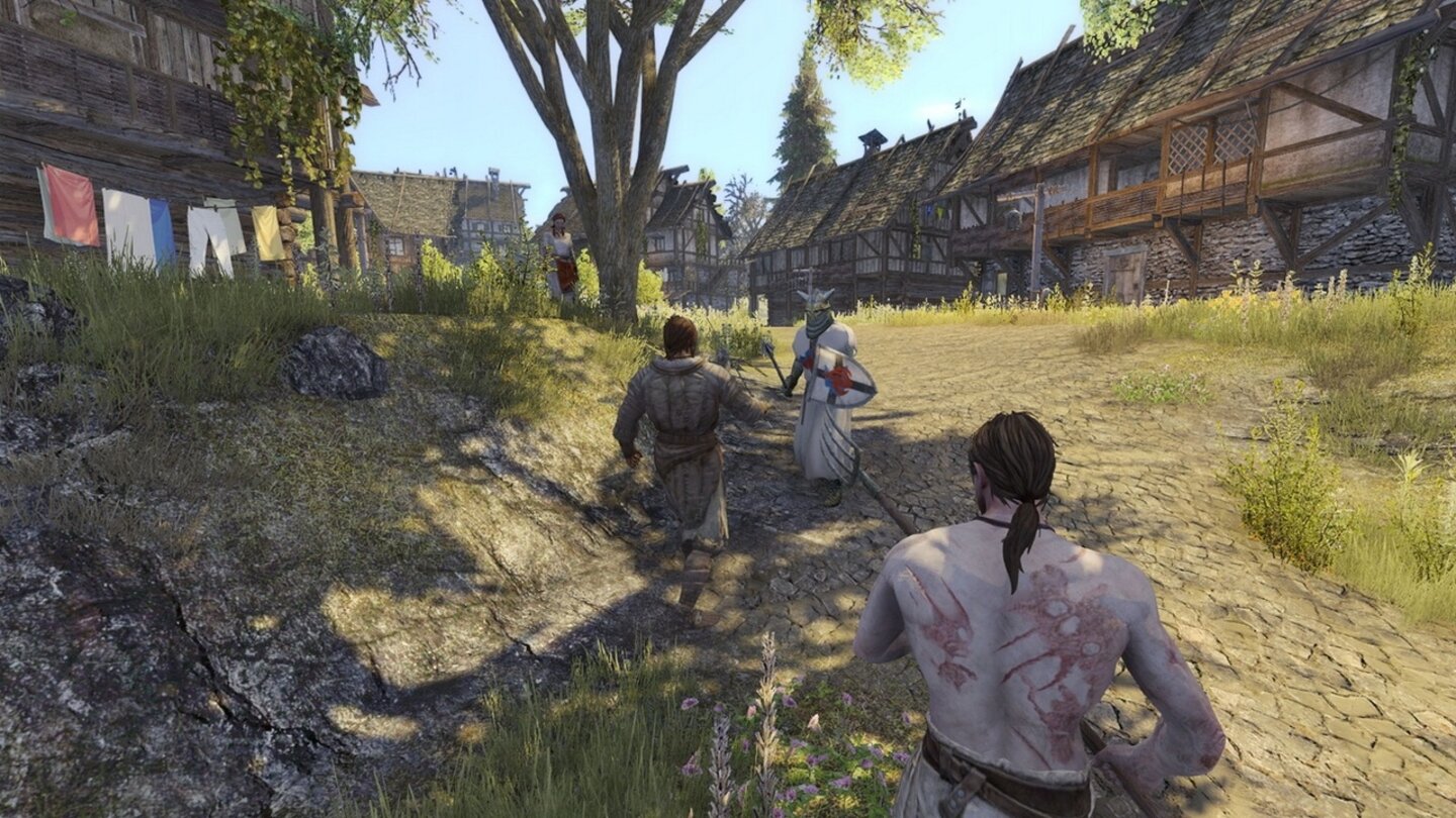 Life is Feudal: MMO