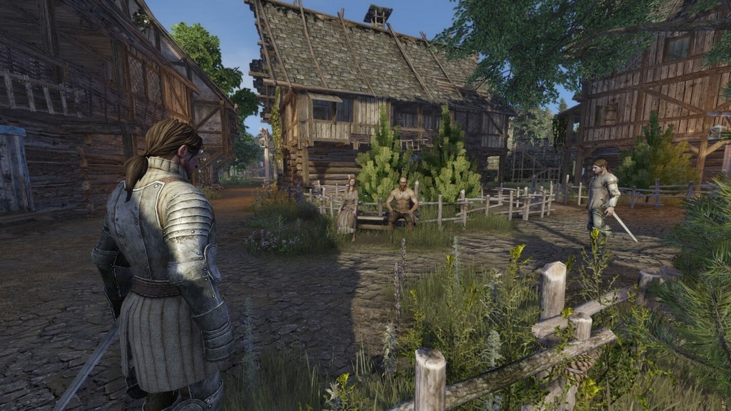 Life is Feudal: MMO