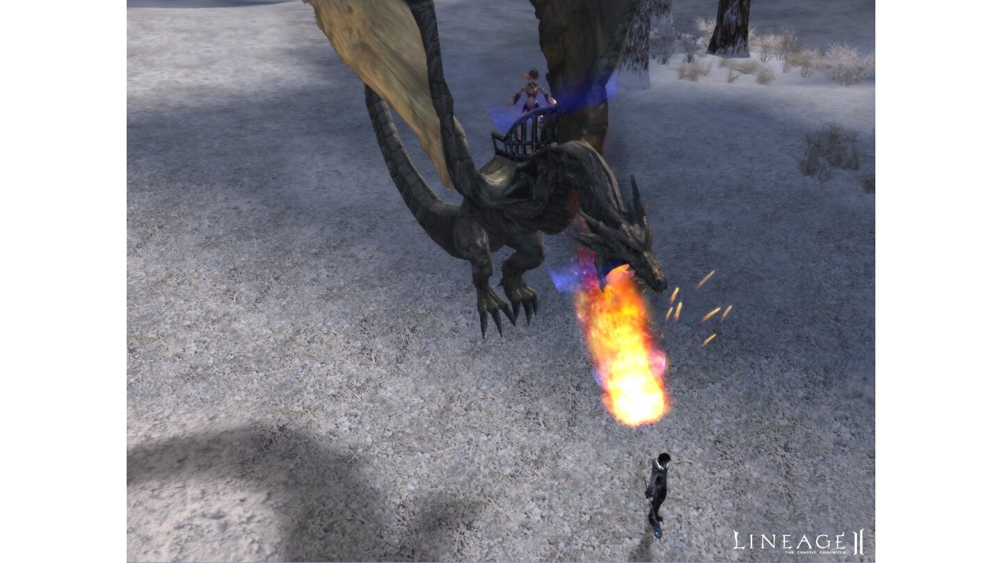 Lineage II_Drachen 3