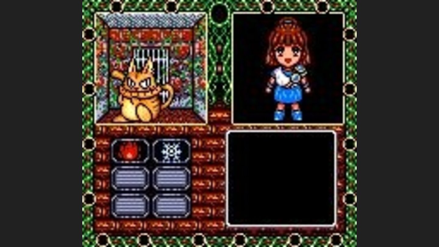 Your magical choices for now