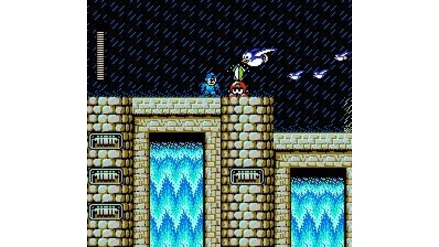 Toad Man's stage