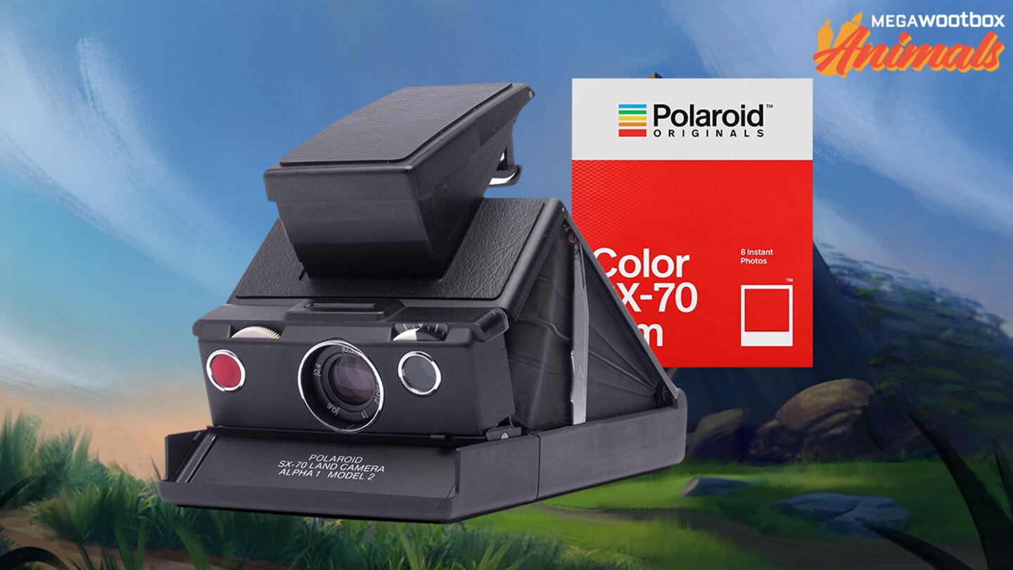 Polaroid Kamera mit Film im Wert von 420 Euro