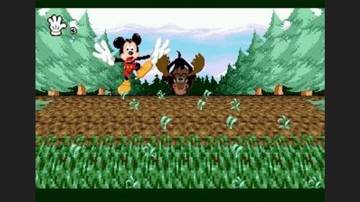 Being chased by the moose