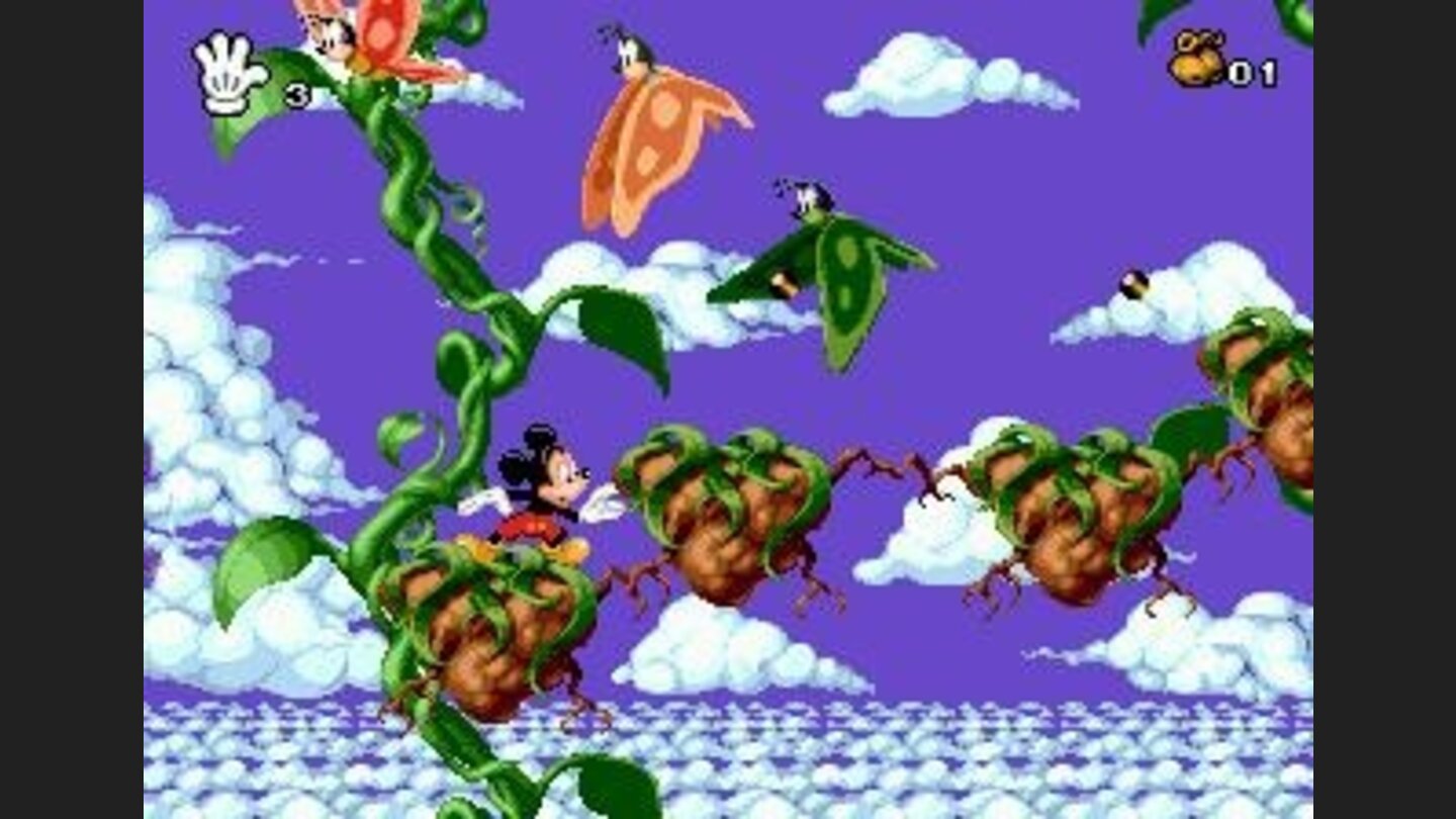 Climbing the Beanstalk