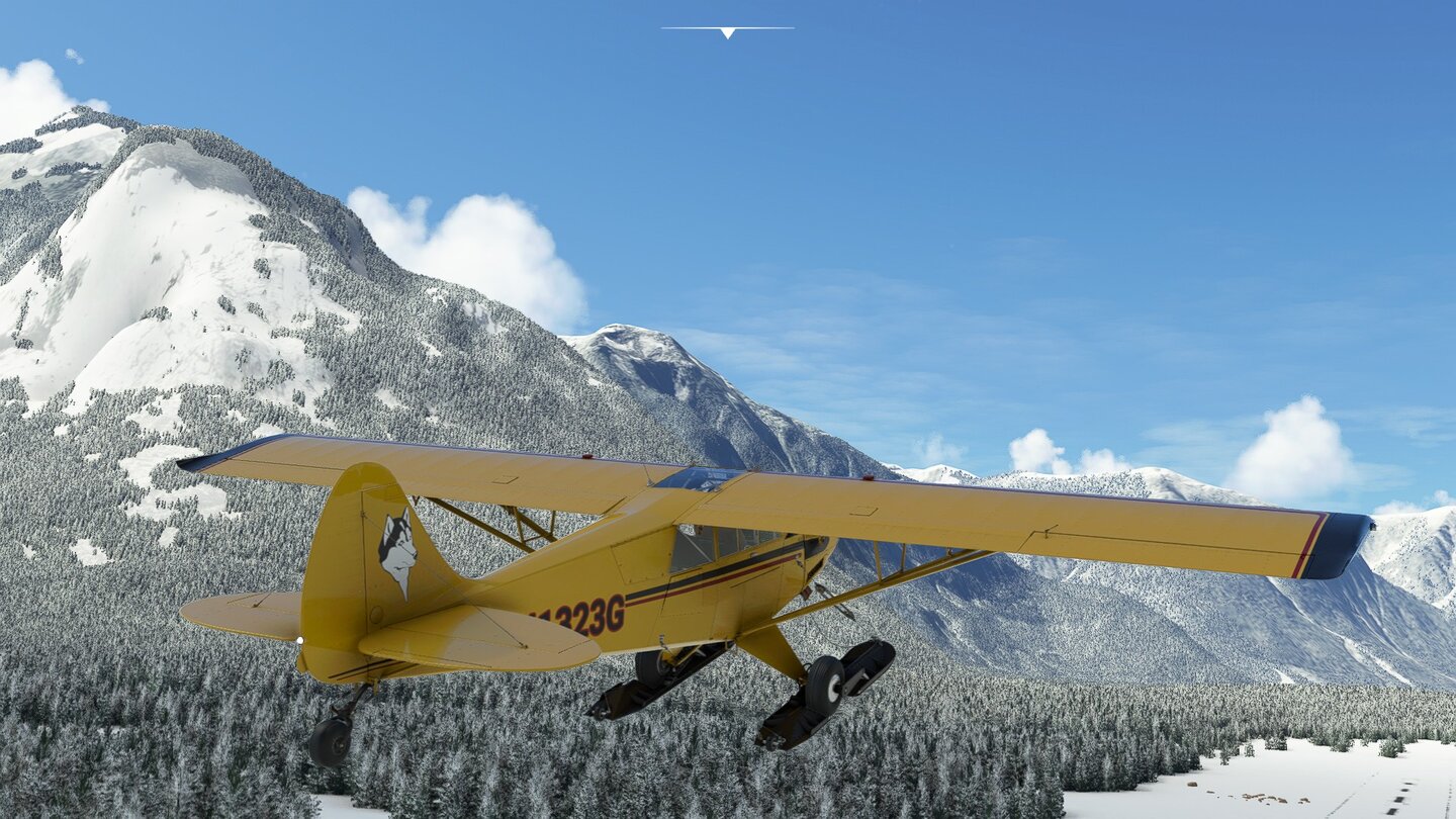 Microsoft Flight Simulator