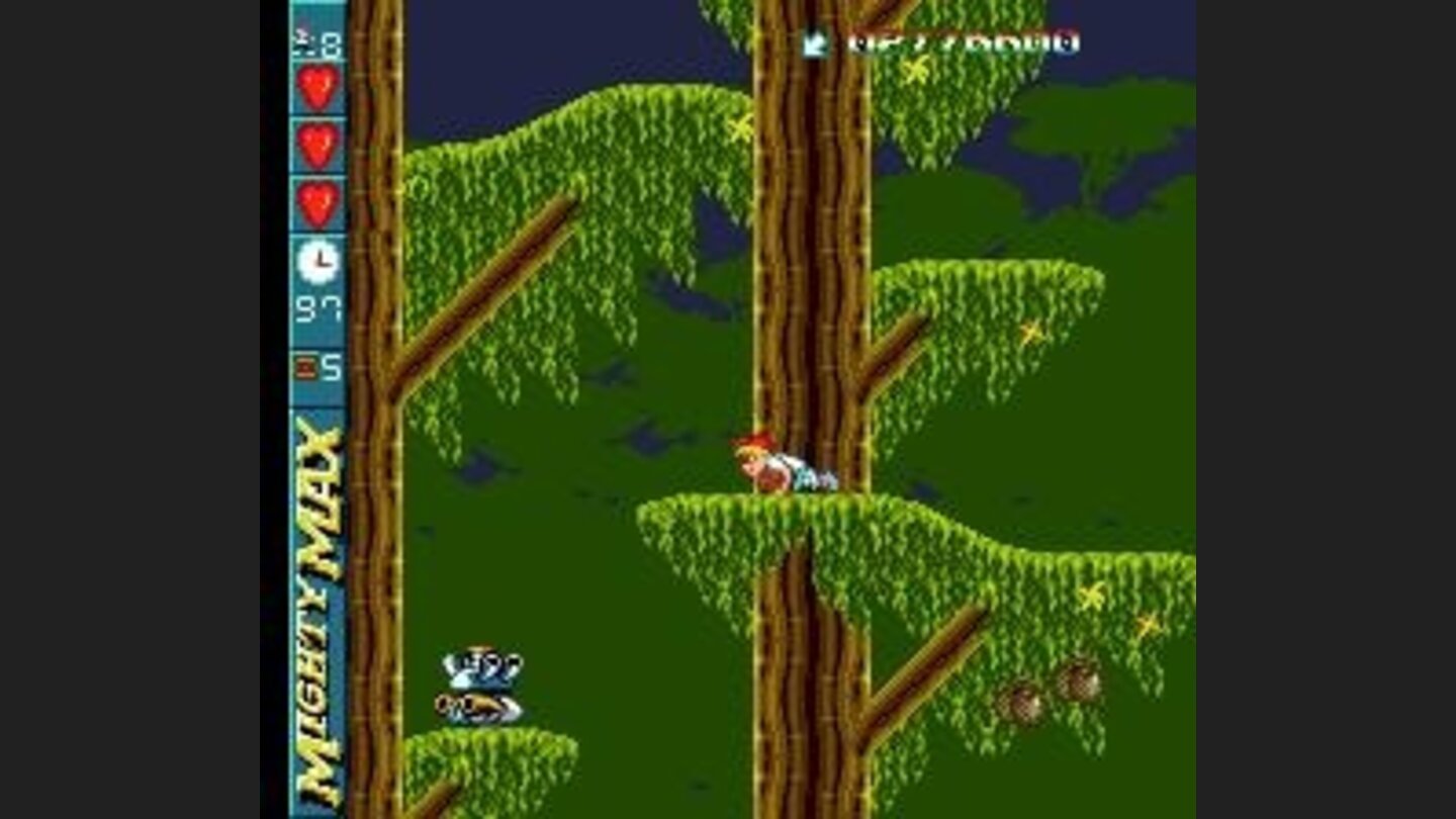 Jungle level