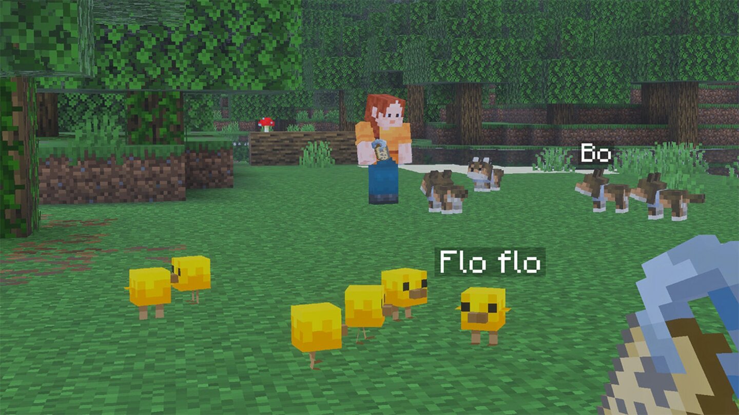 Minecraft Tier-Update