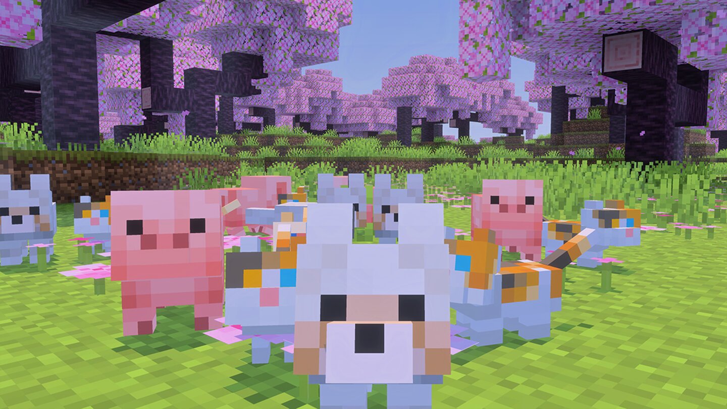 Minecraft Tier-Update