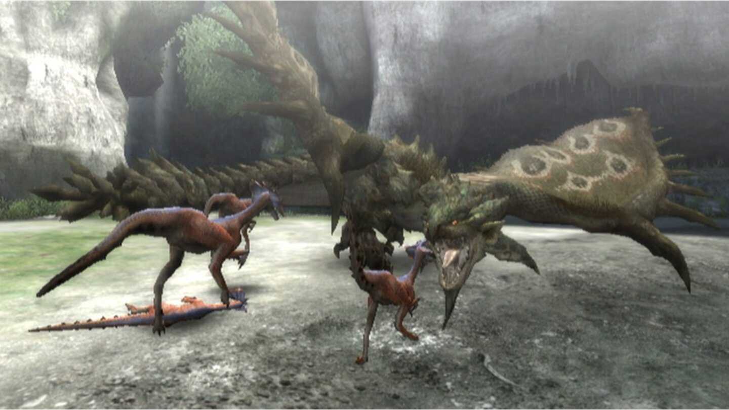 Monster Hunter 3 11