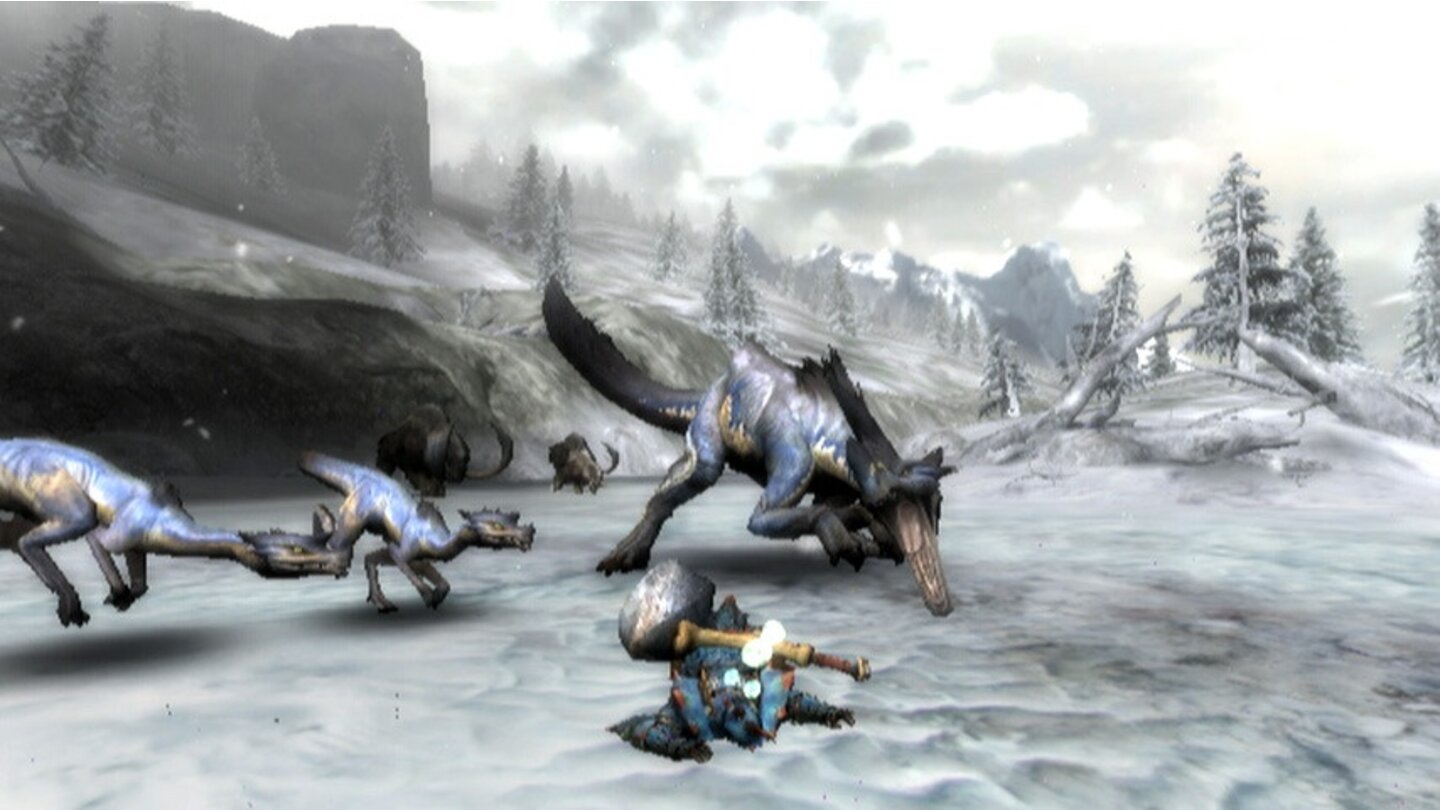 Monster Hunter 3