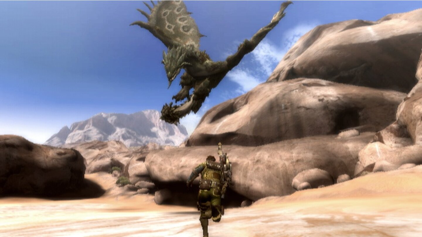 Monster Hunter 3