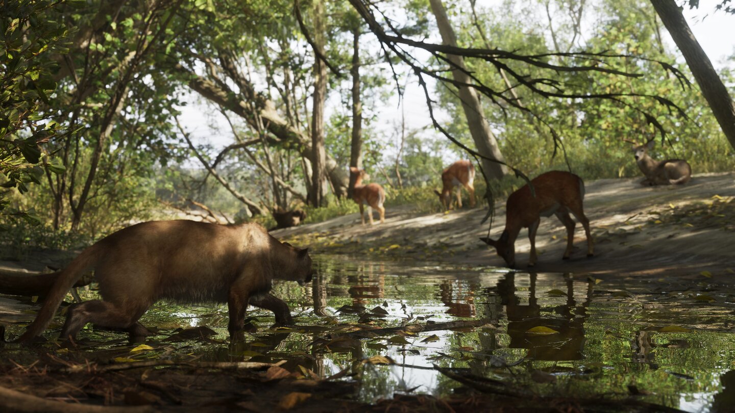 Mount_Kalaga_Nationalpark_05