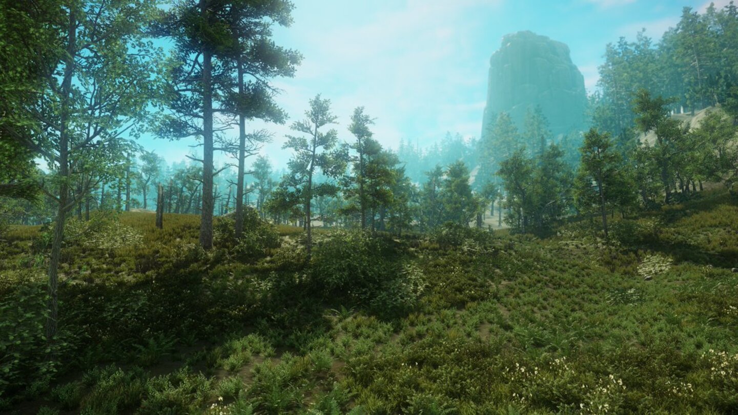 New World - Screenshots