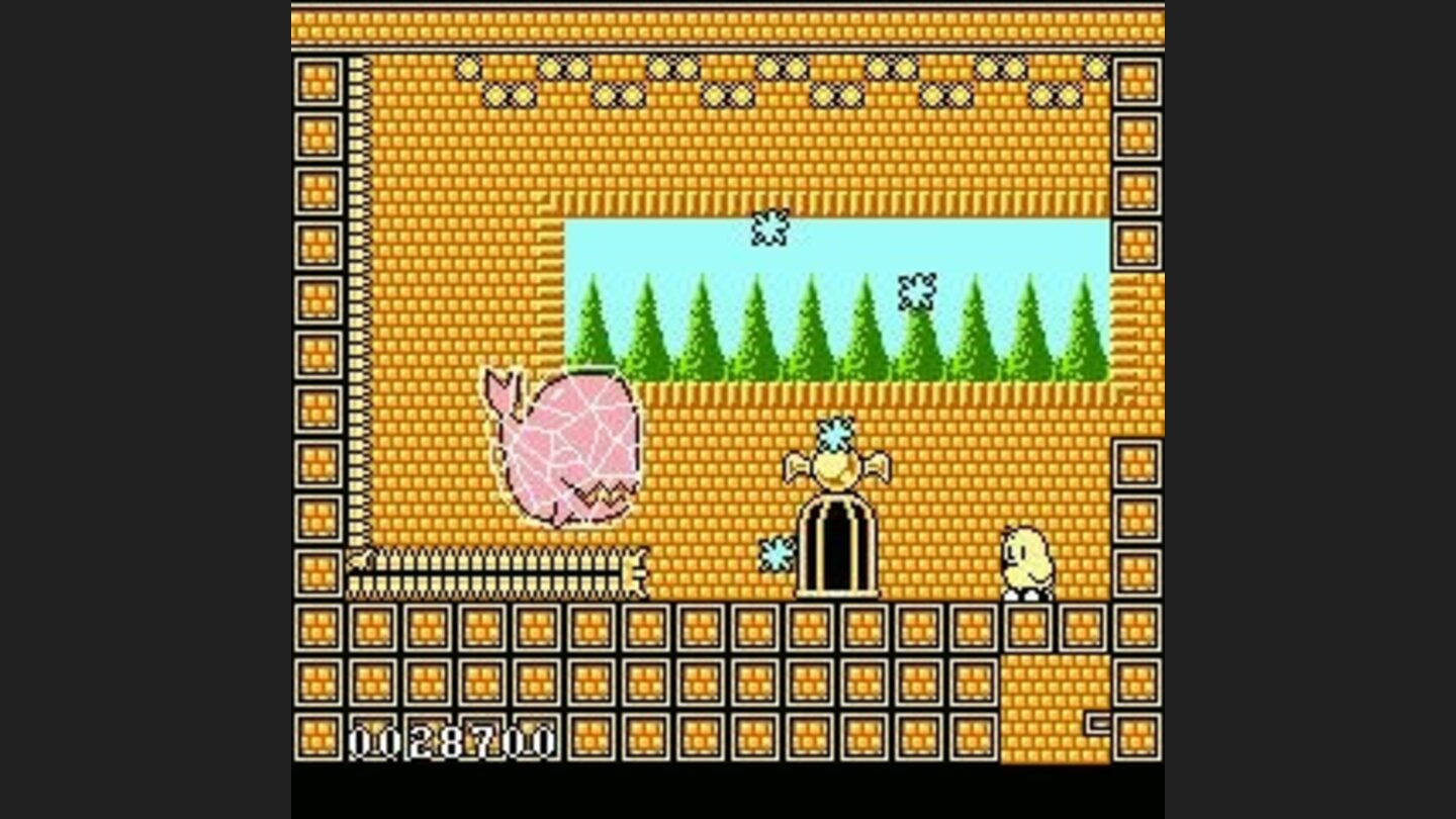 The whales the boss in Auckland