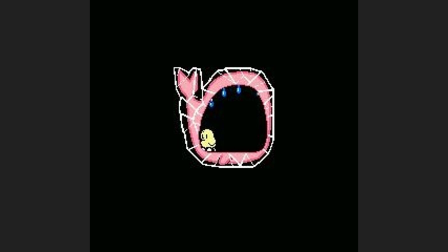 The inside of the whale