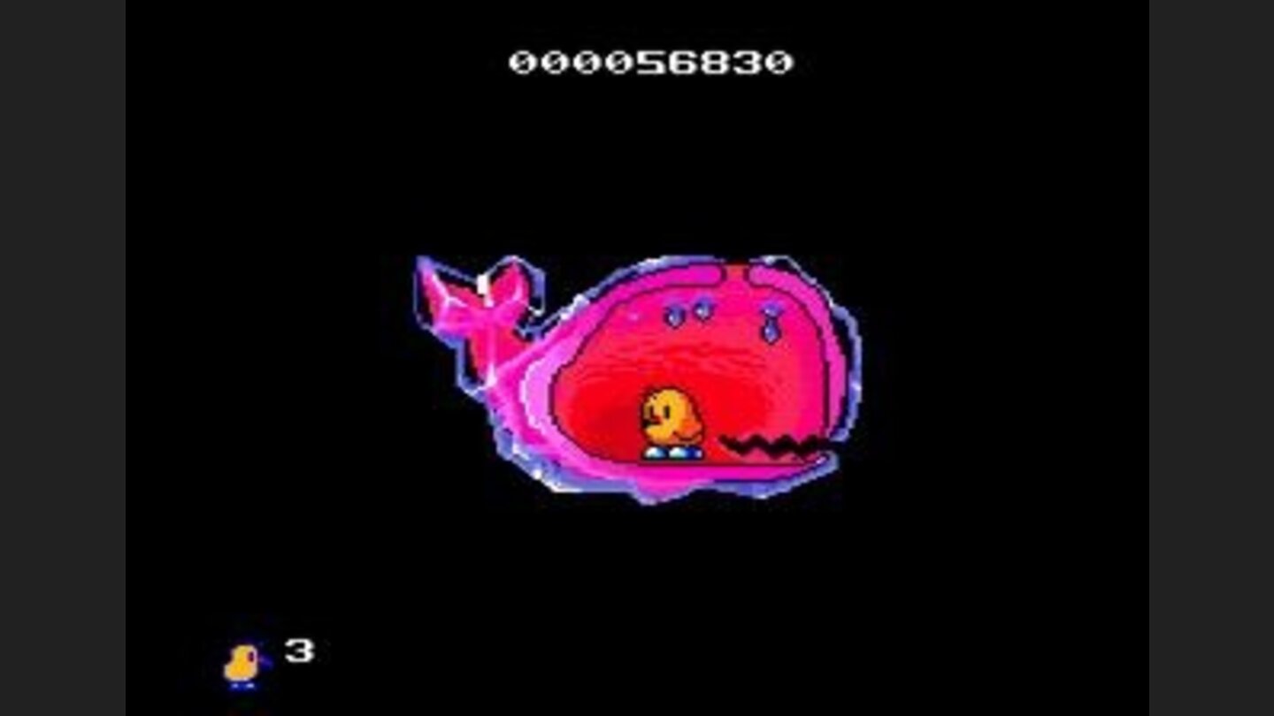 The inside of the whale