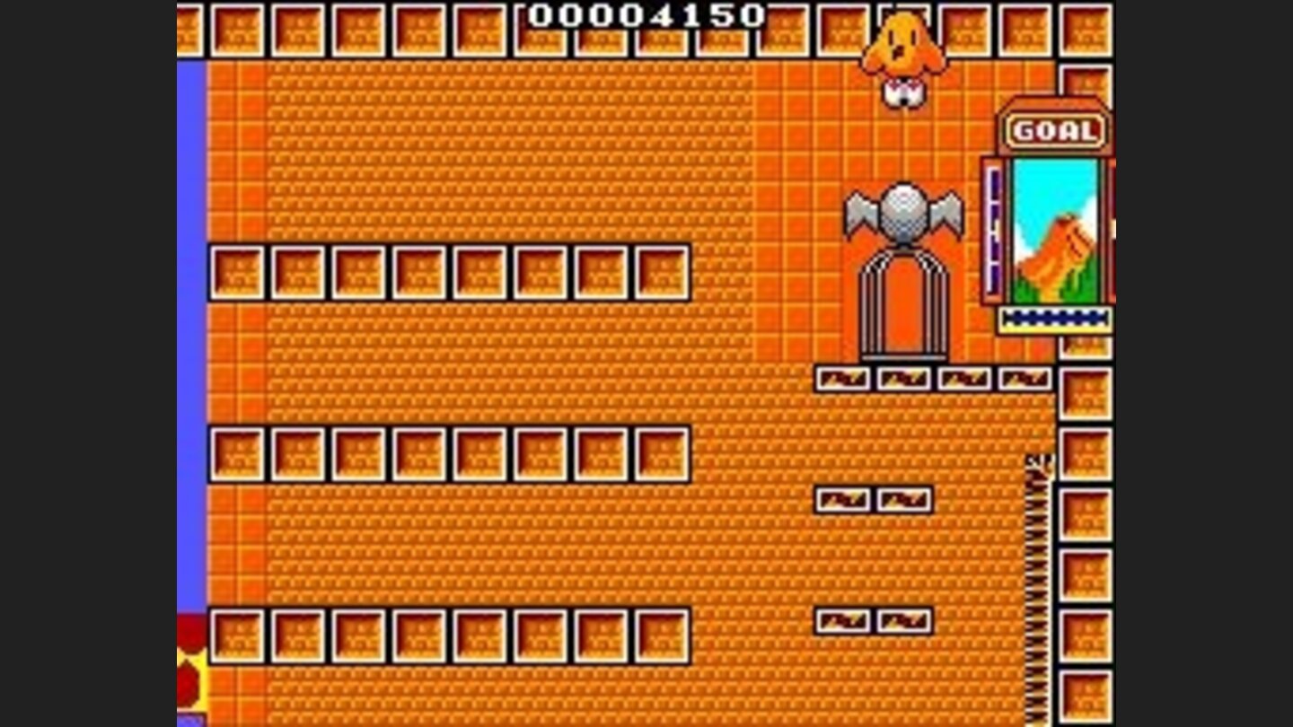 A kiwi is rescued from her cage