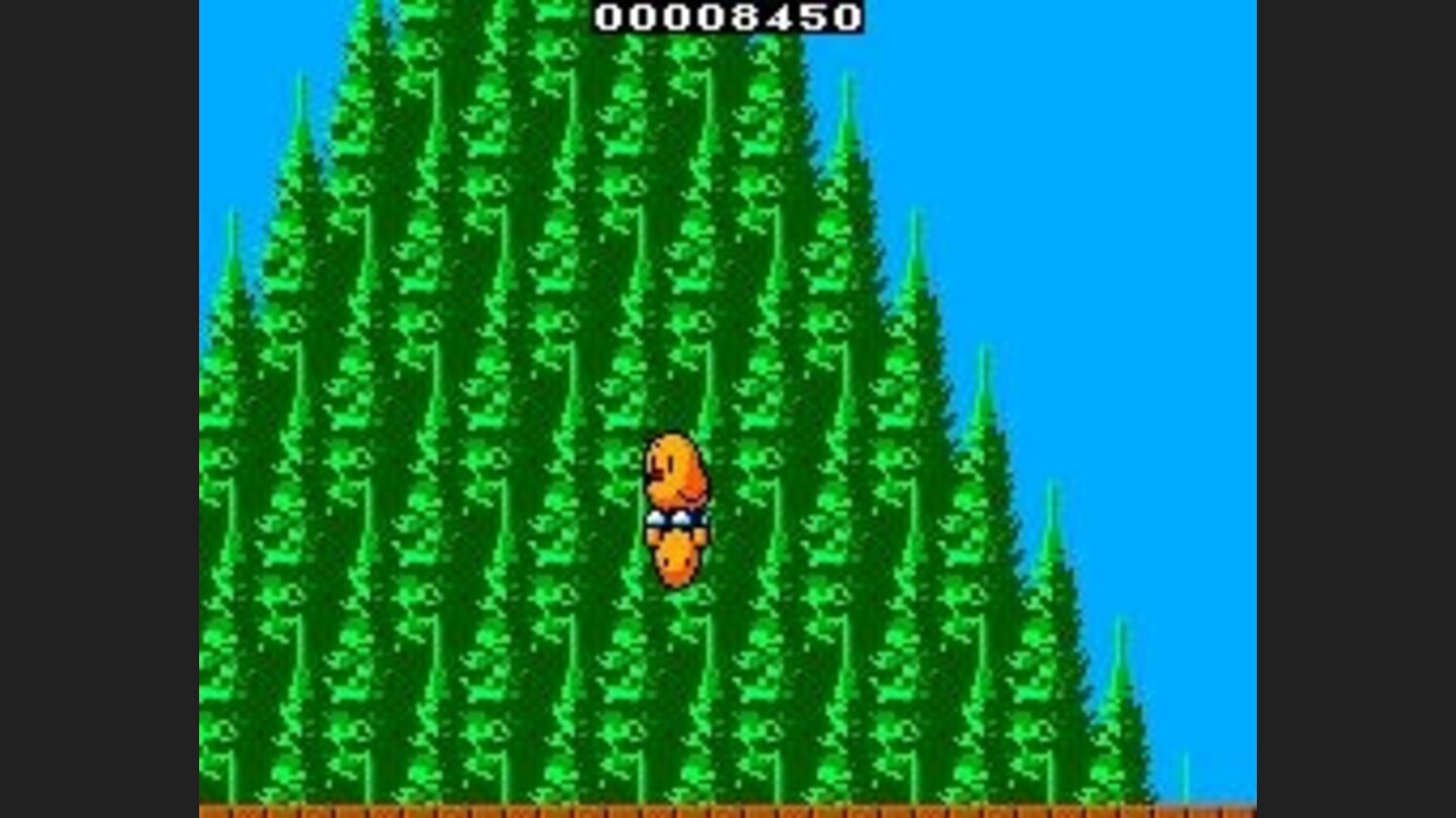 Tiki comes from the forest pictured here