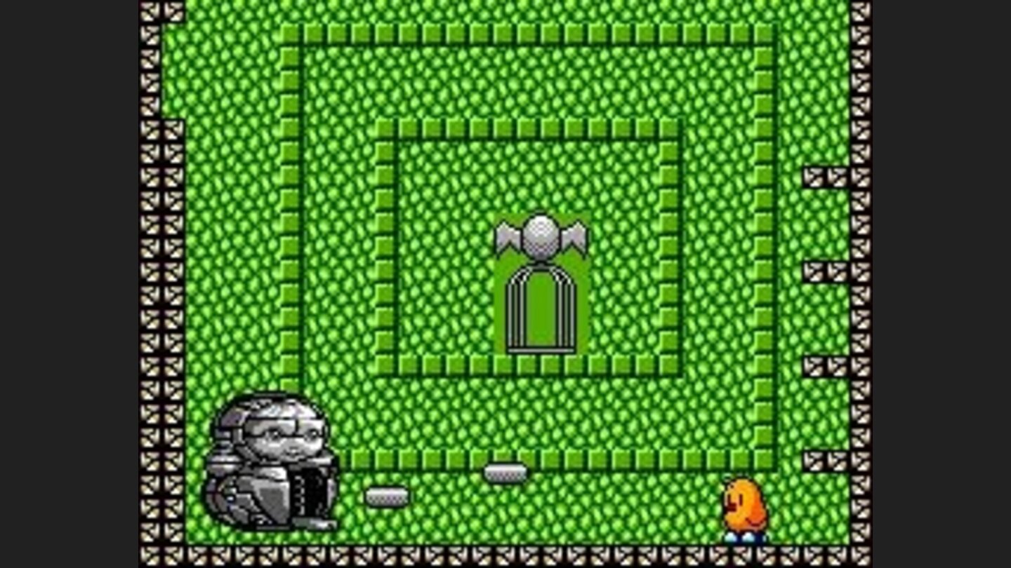 Boss of Waitomo Caves