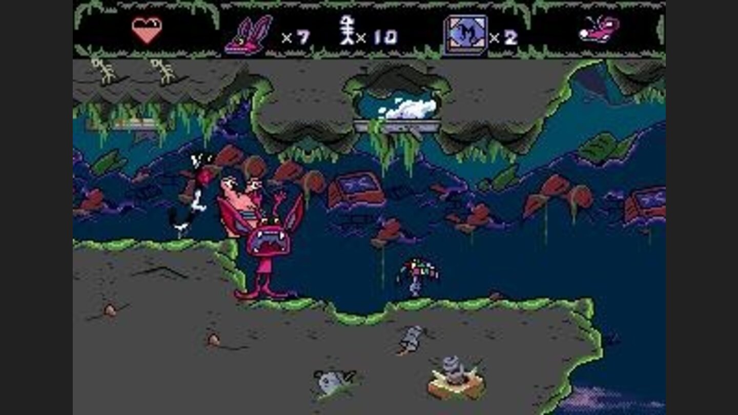 Collecting mushrooms