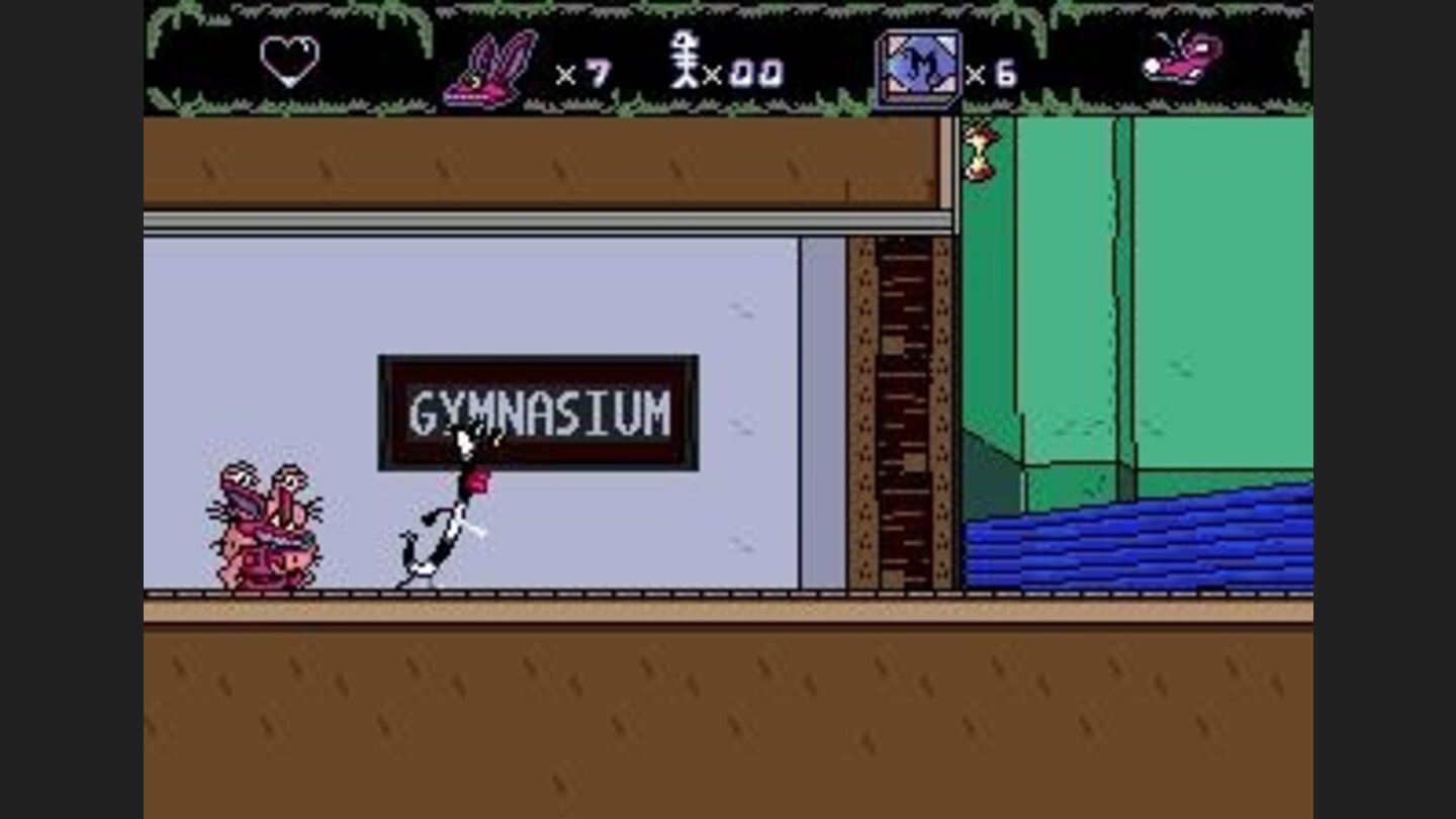 Gymnasium level