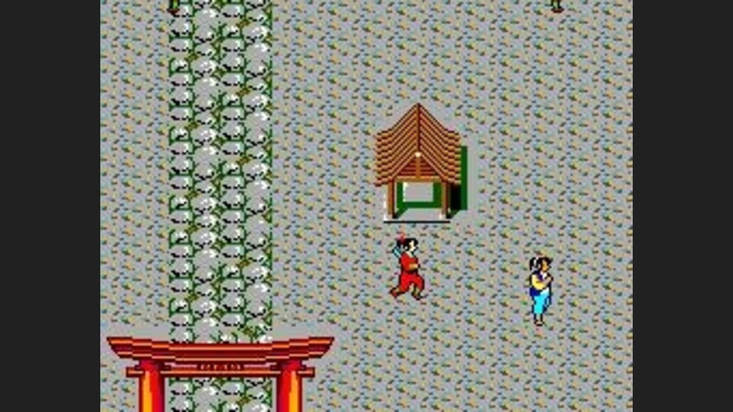 Watch out for those female ninjas. They are more agressive than the males