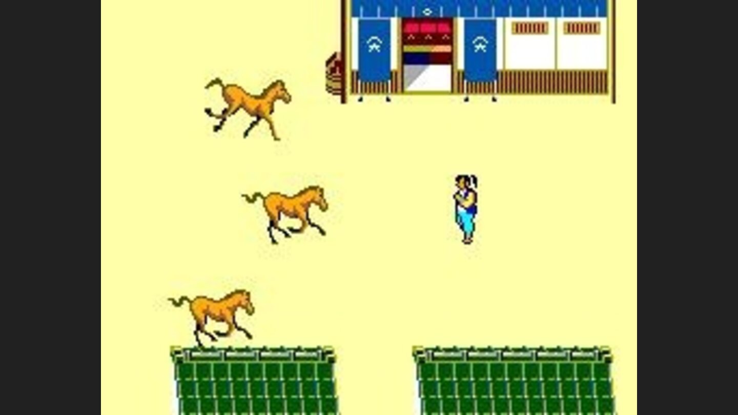 Watch out for the horses