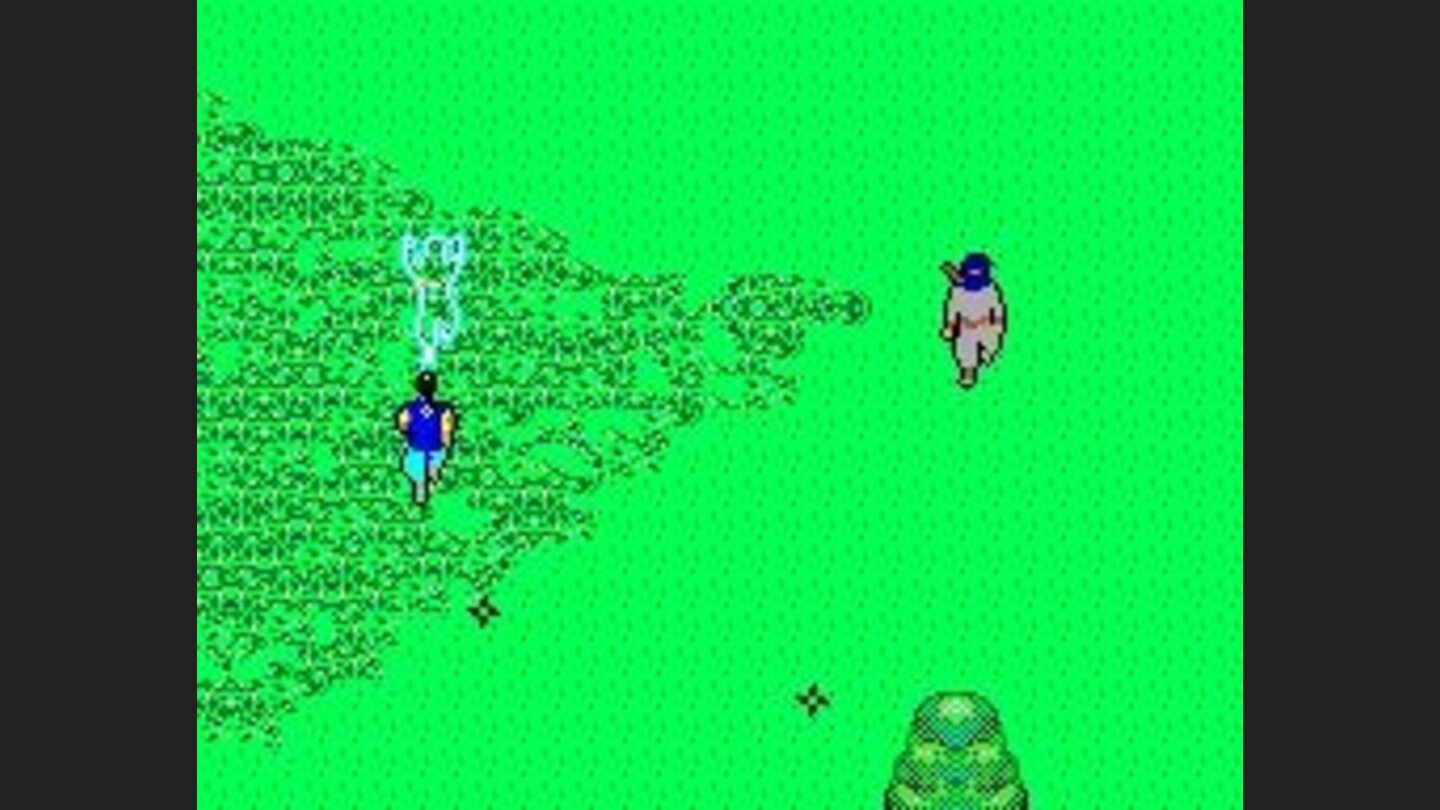 An outline of the ninja