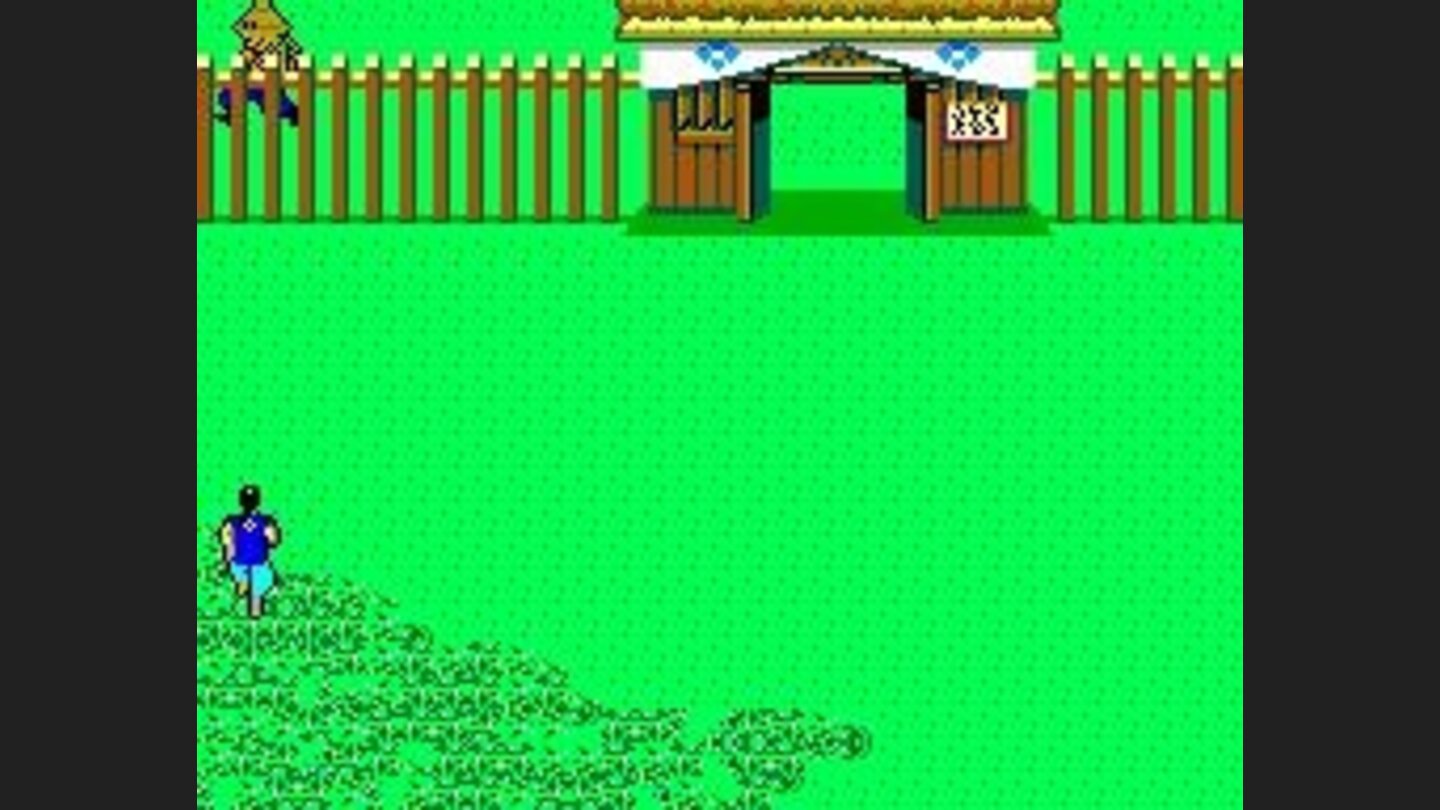 You cannot kill me because I am on the other side of that fence