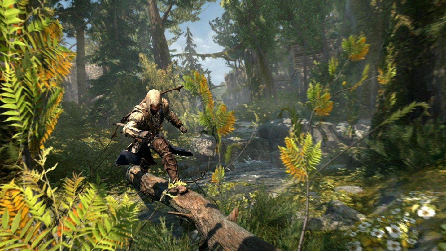 Assassin's Creed 3 (2012)2012 erweiterte der der inzwischen fünfte Teil der Assassin's-Creed-Reihe das seither schon offene Spielprinzip um neue Umgebungen außerhalb der Städte. In Wäldern und kleinen Dörfern kann der neue Held Connor jagen gehen.