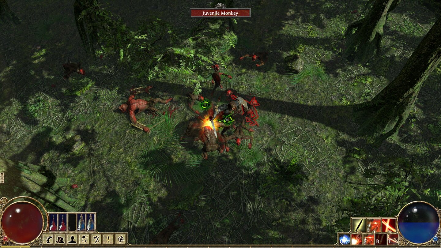 Path of Exile