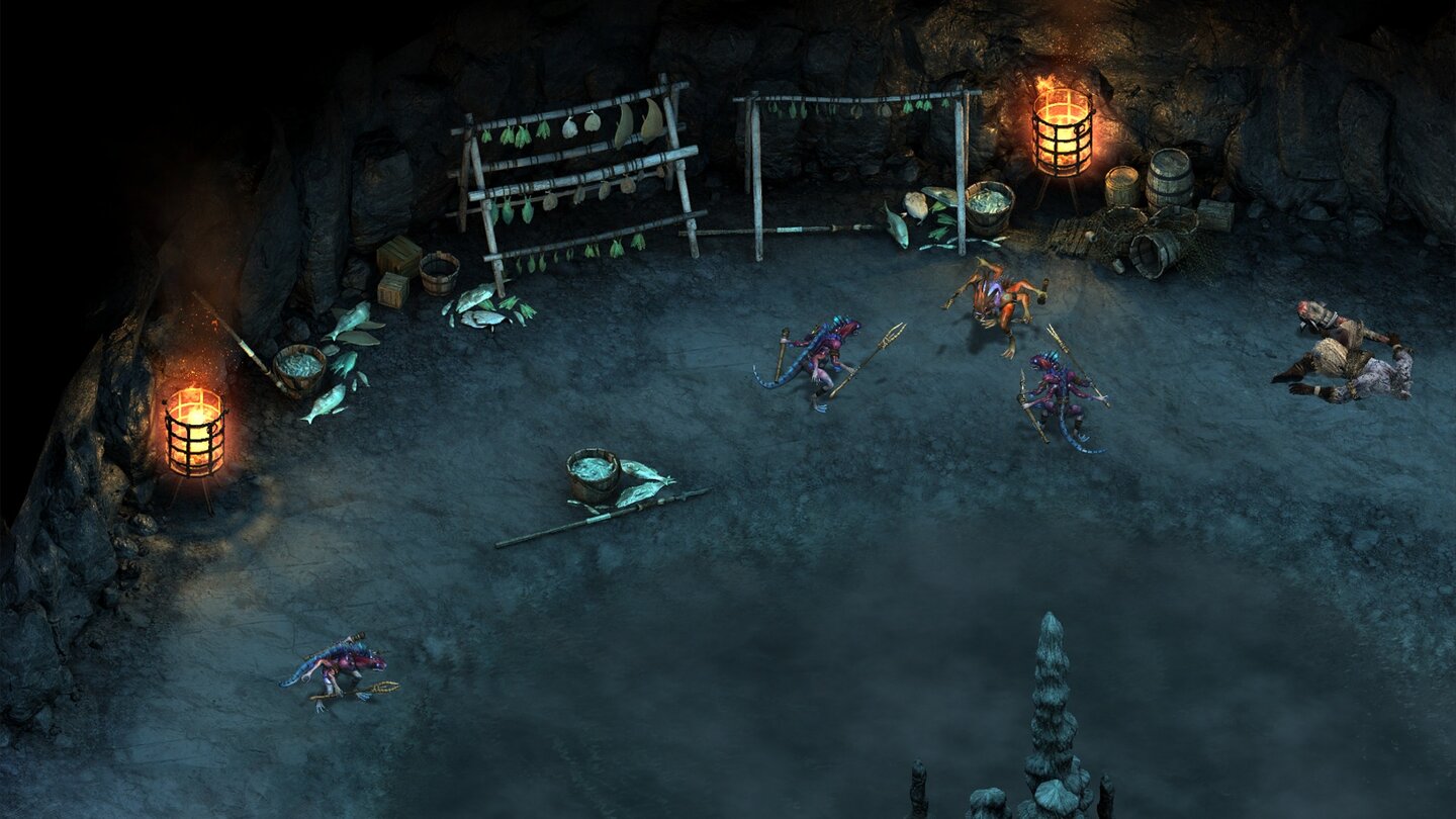 Pillars of Eternity: The White March