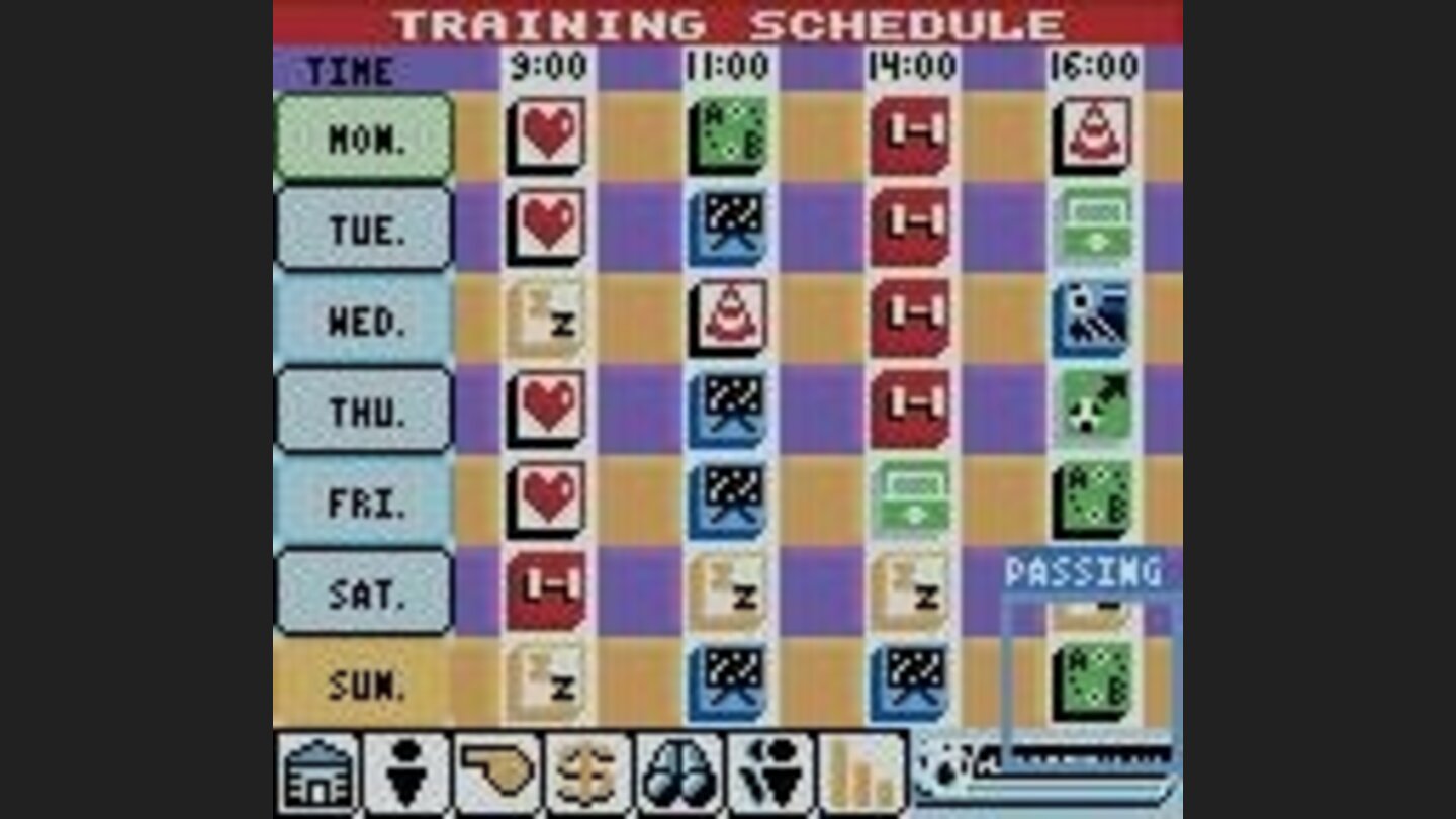 Training Schedule