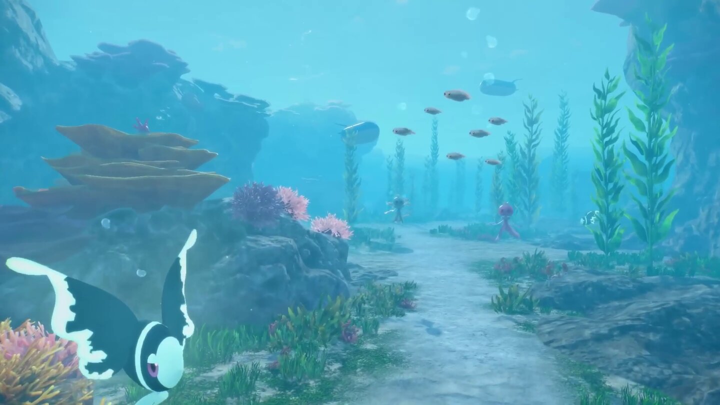 Pokémon Wind und Welle