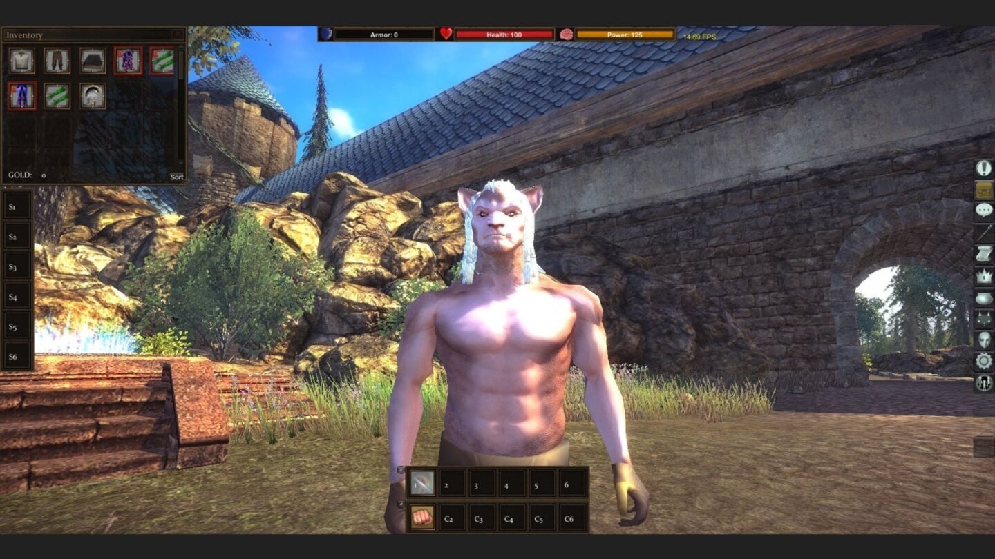 Project Gorgon