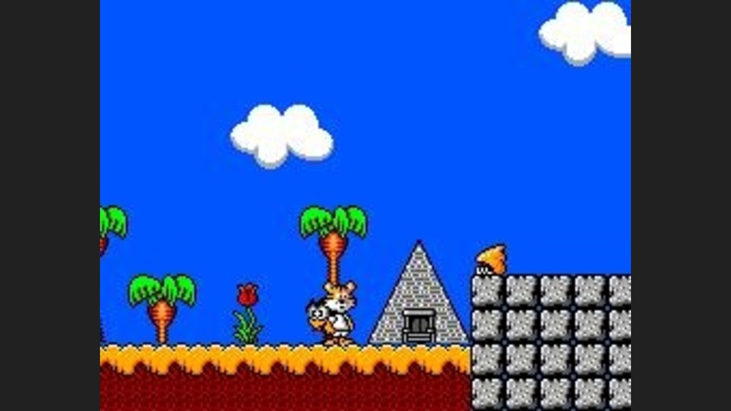 Home among the palm trees