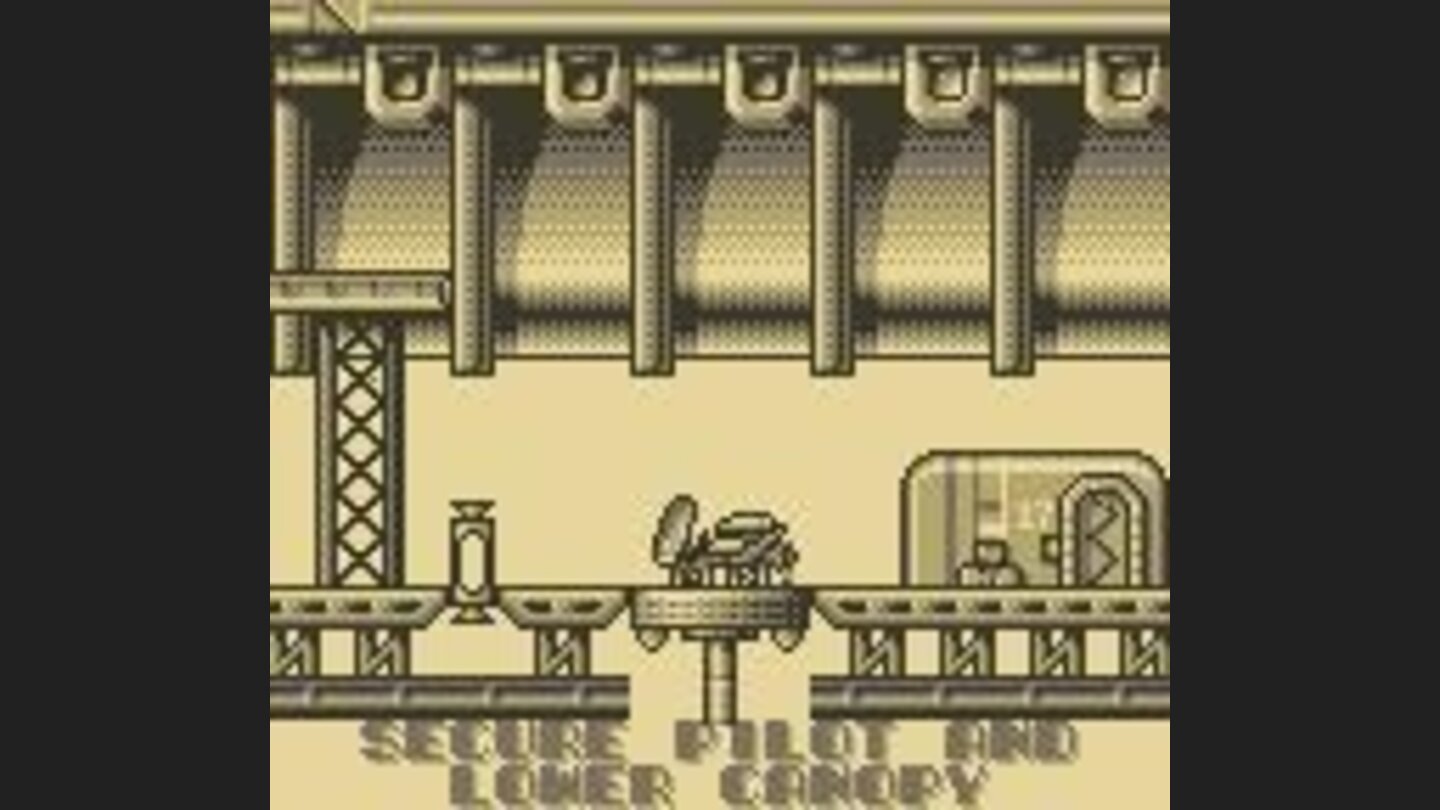 Animated Introduction