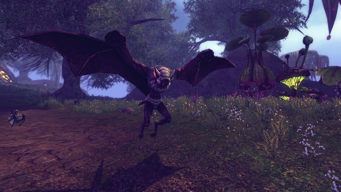 RaiderZ