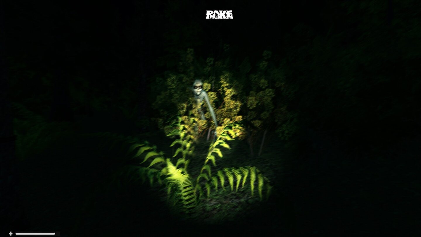 Rake
