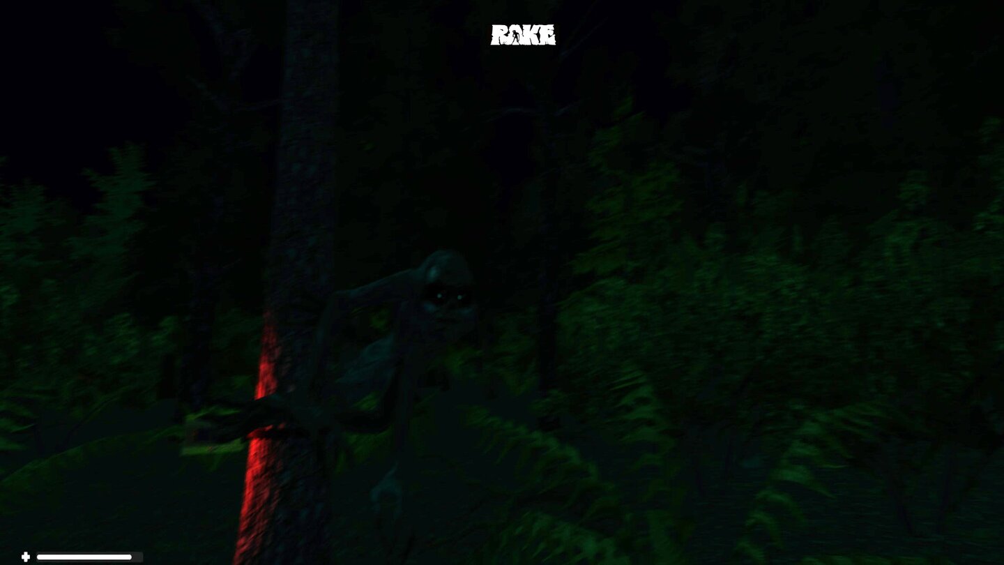 Rake