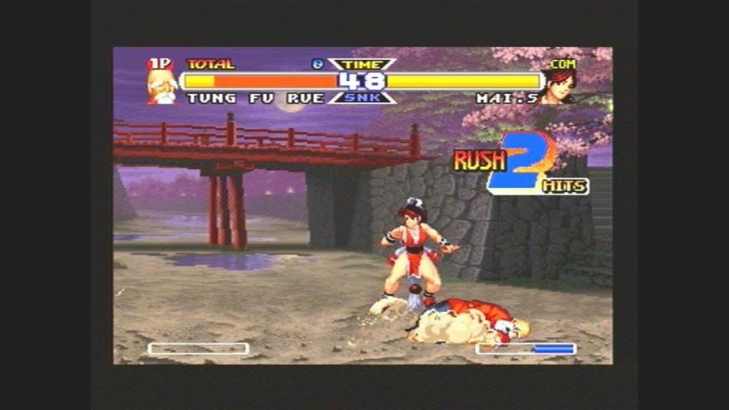 Tung Fu Rue vs Mai Shiranui (3)