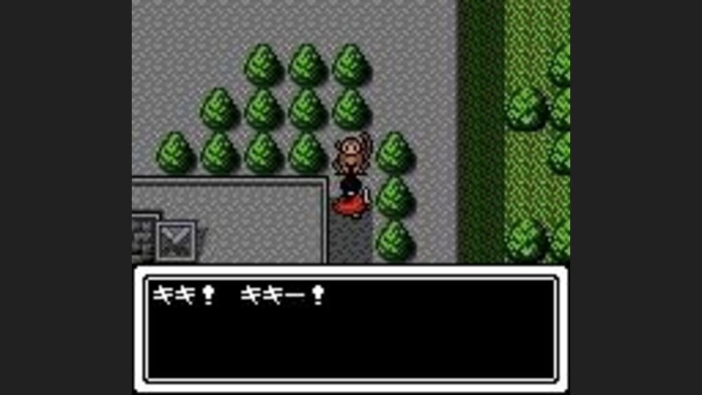 Having an intellectual conversation with a monkey. He says: Kiki! Kikii!