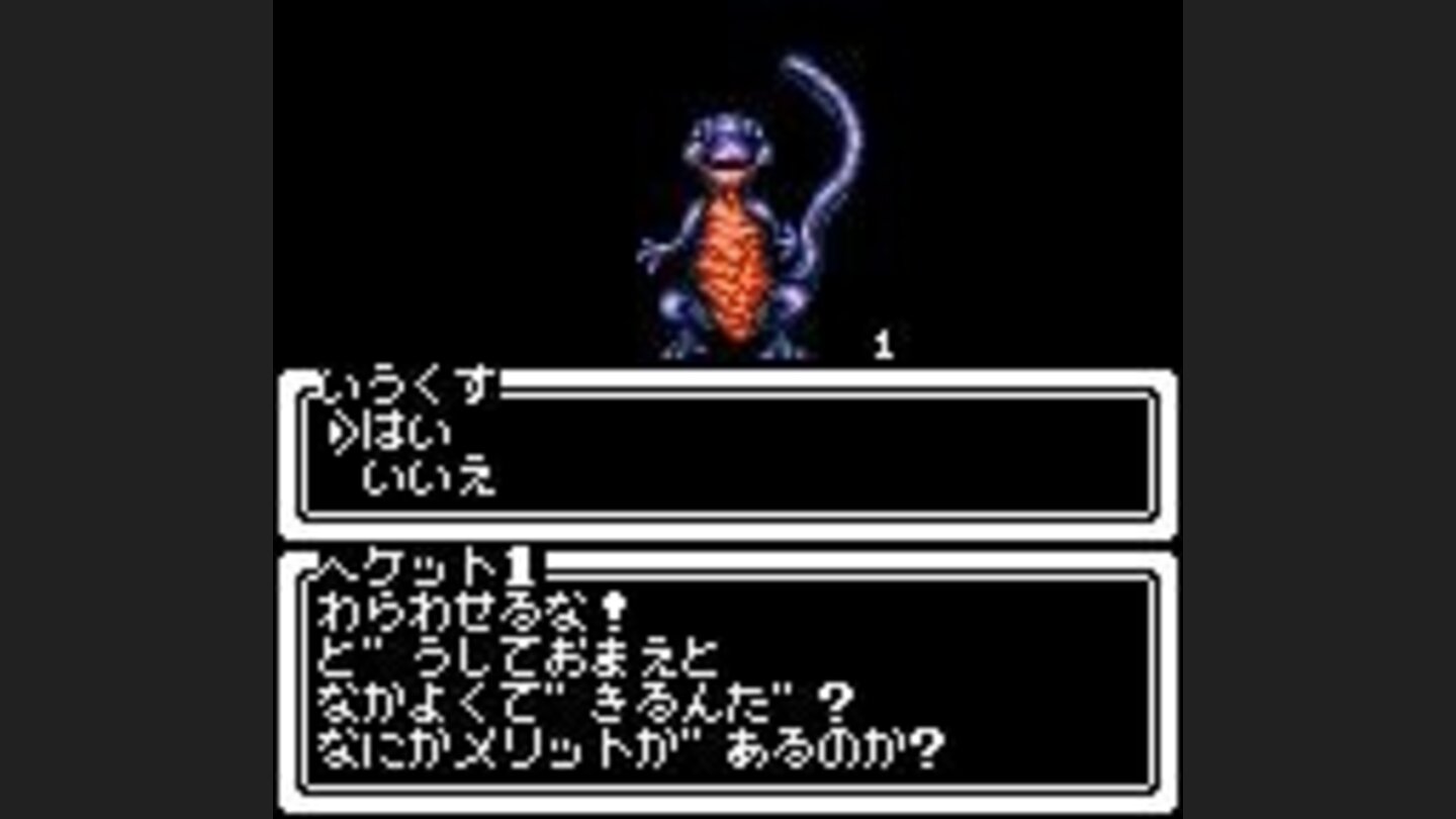 Conversation witn a random lizard. You cna answer yes or no